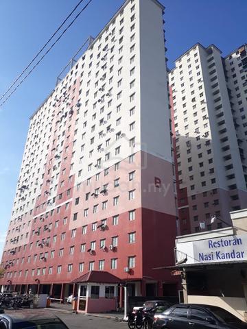 Sutera 1