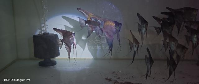 Carousel Image