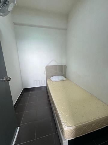 room for rent / tampoi area  / the aliff / the platino / 1