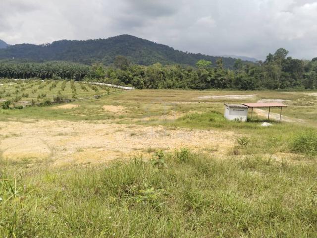 7.7 acres First Lot Vacant land at Tapah, Perak 1