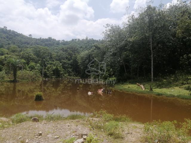 Agricultural Land Dengkil 1