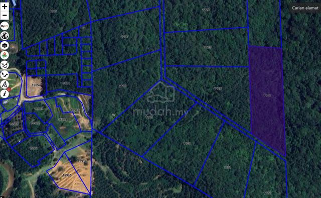 Rubber Plantation Land 1
