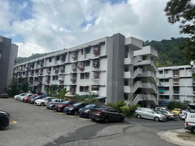Flat Paya Terubong 1