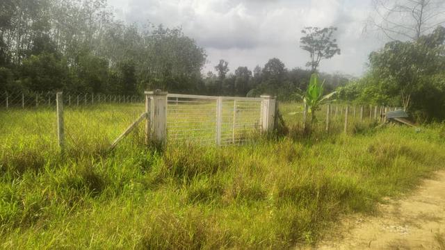 Tanah pertanian utk dijual 1