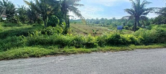 Tanah 1.5 Ekar Paling Murah Tepi Jalan Di Sabak Bernam 1