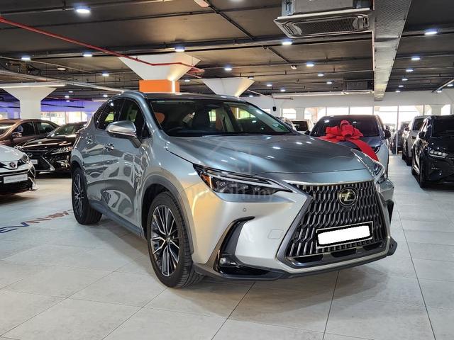 2023 Lexus NX250 Luxury - 2