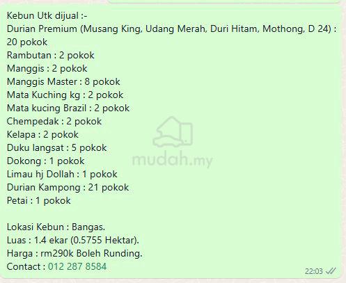 Tanah dusun bangas segamat 1.4 ekar durian rambutan kelapa dll 1