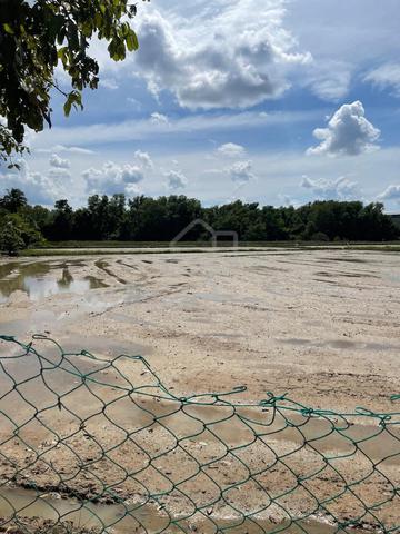 Tanah Bendang Di Bandar Jitra, Kubang Pasu, Kedah 1