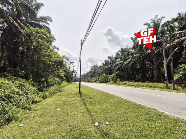 9.87 acre Agricultural Land | Beside Mainroad | Selama | Perak b 1