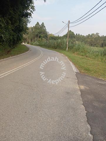 Kelapa sawit dusun durian ada air mantin n9 1