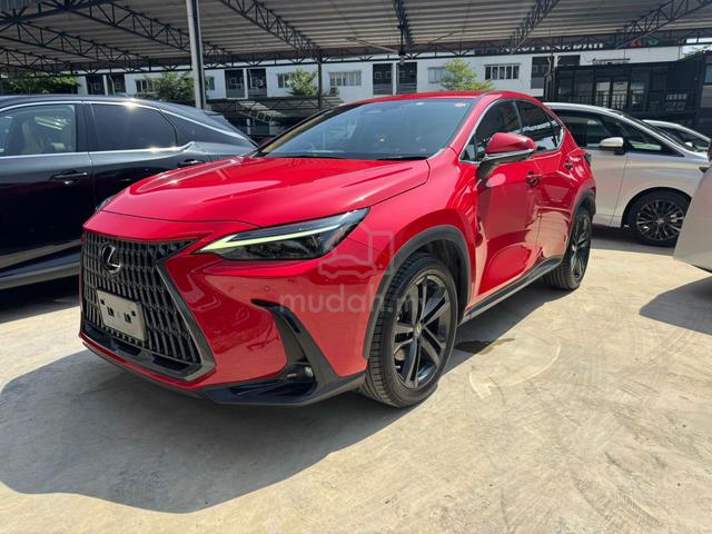 2023 Lexus NX 250 2.5 VERSION L BROWN LEATHER - 2