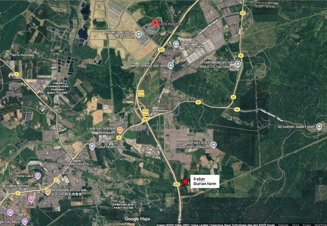 Exclusive Investment Opportunity: Premium Durian Orchard Port Dickson 1