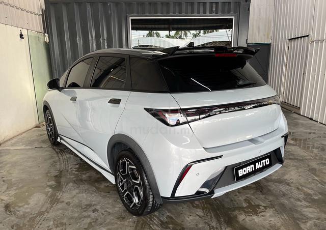 Byd DOLPHIN PREMIUM EXTENDED Direct Seller - 3