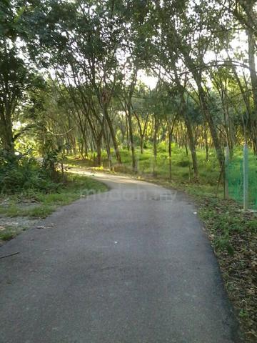 Agricultural Land at Pekan Dangi, Kuala Pilah 1