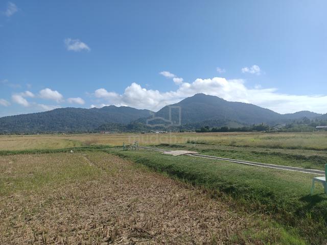 Tanah view cantik sawah bendang, tepi jalan utama, Langkawi 1
