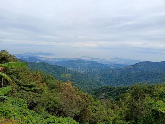 Kota Kinabalu Agricultural Land 27 acres 5
