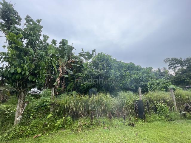 Land in Beranang, Ulu Langat, Selangor 4