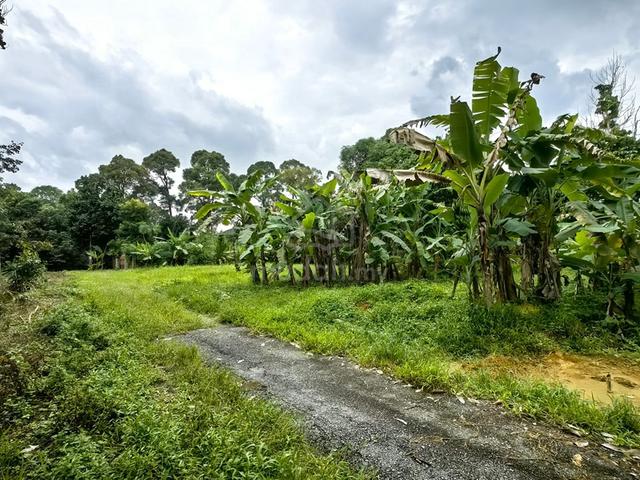 Tanah LOT BANGLO 965MP BLKG BANGUNAN MDM TELAGA MENGKUDU BUKIT PAYUNG 4
