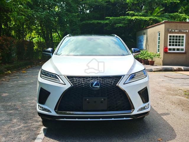 2020 Lexus RX300 F SPORT Panoramic HUD BSM 4Cam - 2