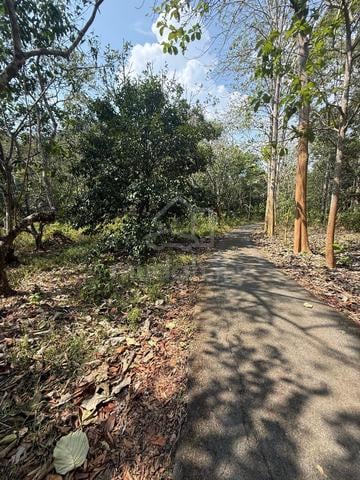 TANAH DUSUN BATU PAHAT‼️RAPAT MINI TAR‼️33,131sqft 100k SAHAJA‼️ 1