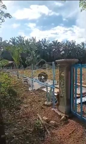 Tanah Untuk Disewa 5