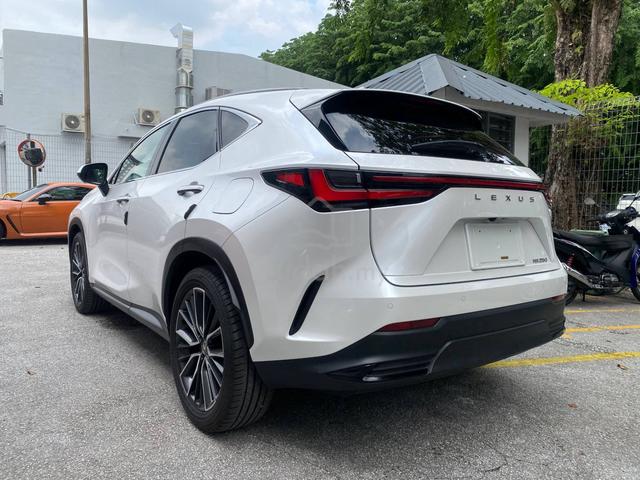 2023 Lexus NX250 VERSION L *LIMITED SALES PROMO* - 4