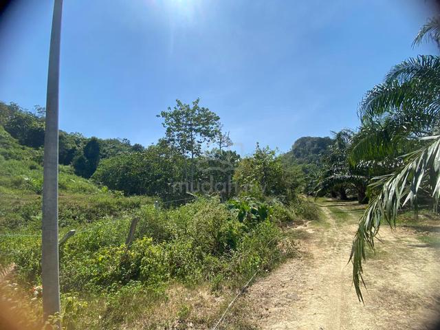 8 acres agriculture land for sale in Sungai Siput 1