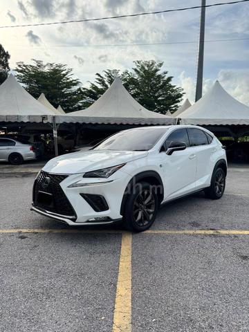 2018 Lexus NX300 2.0 F SPORT (A) - 3