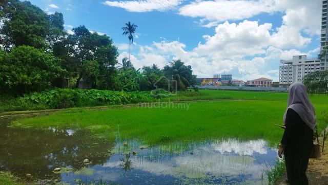 Prime Penang Land For Sale 1