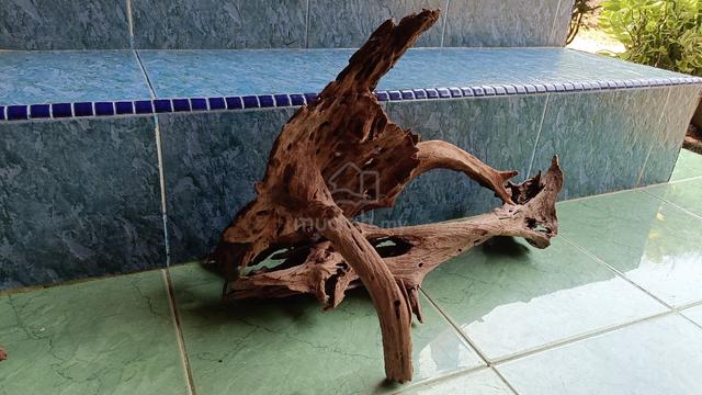 aquascape driftwood setup 3 kayu - photo 4 of 4