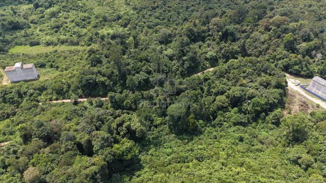 4 Acres Freehold Agricultural Land Mukim Cheka Mela Kuala Lipis 1