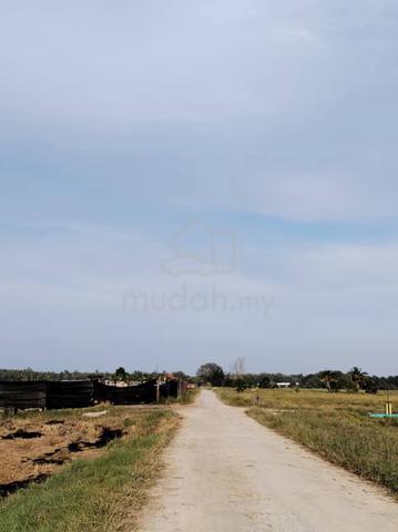 Agriculture Land For Sale at Balik Pulau,Penang 1