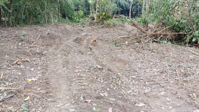 Lot 370 Mukim Taboh Naning Kg Ulu Kemus Afamosa Alor Gajah 3