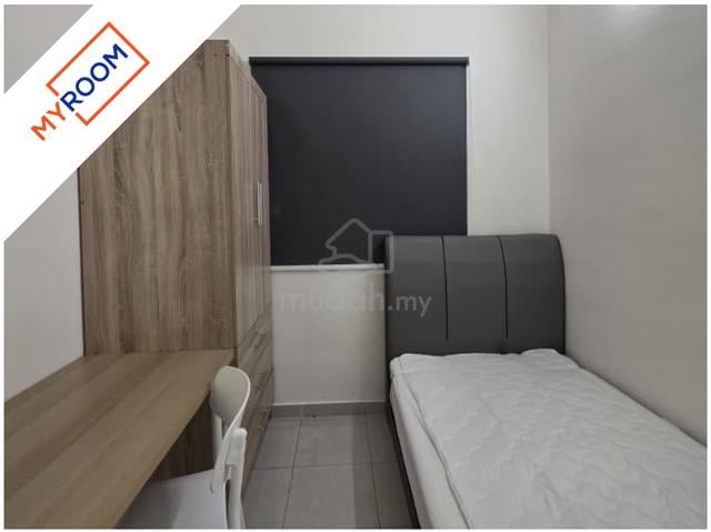 Brand New Single Room @ TreeO Sungai Ara | Near Bayan Lepas 1