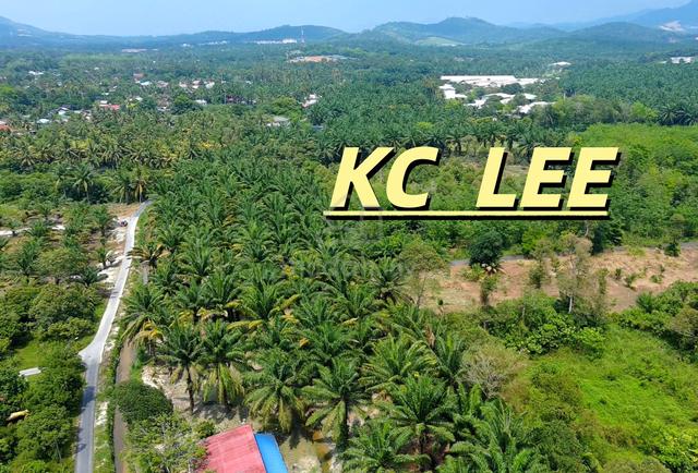 1.28 Acres Agricultural Land @ Bukit Teh,Bukit Mertajam,Penang 1