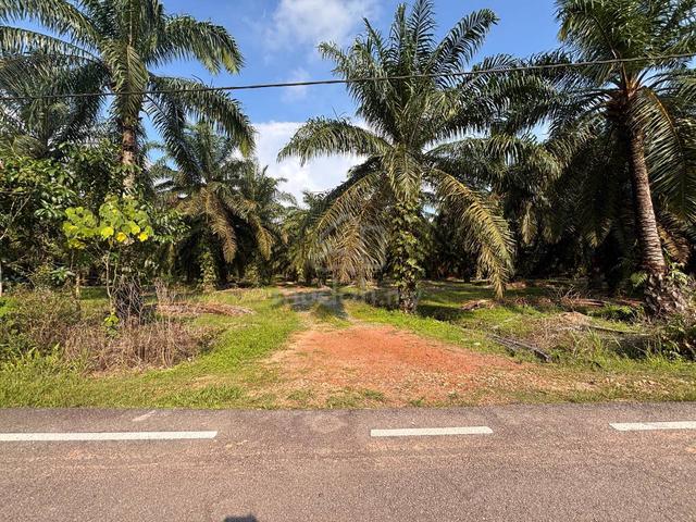 Tanah Pertanian Parit Mastar 2 Ekar [ Tiada Sekatan / Freehold ] 1