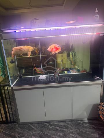 Carousel Image