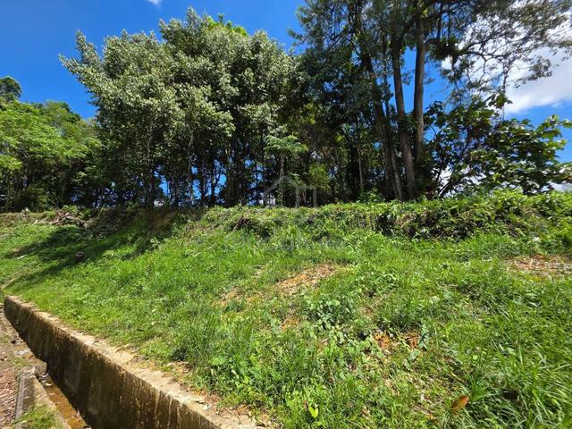 Simpang Tiga Land For Sale 1