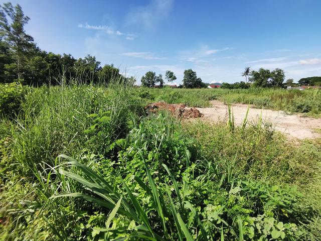 FREEHOLD NON BUMI LOT Vacant Commercial Land TOWN AREA Sungai Petani 1