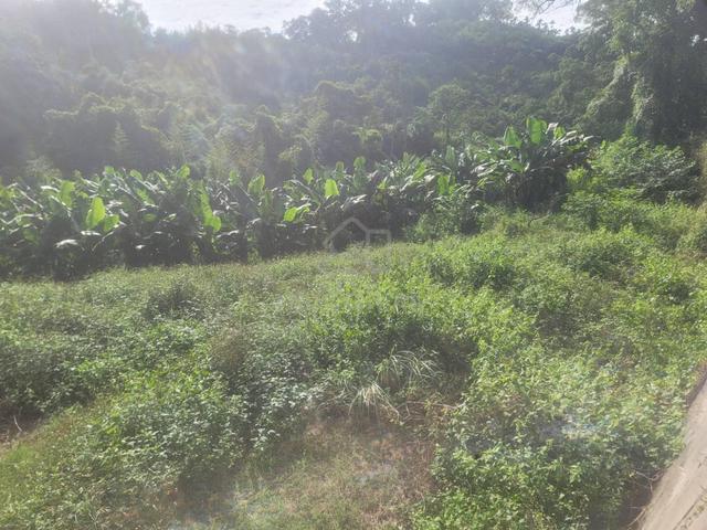 Alor Gajah, melaka land for rent 3