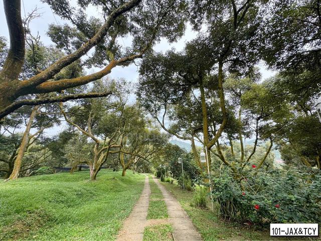 48.5 Acre Durian Estate with Hilltop Bungalow, Kpg Tras Raub Pahang 1