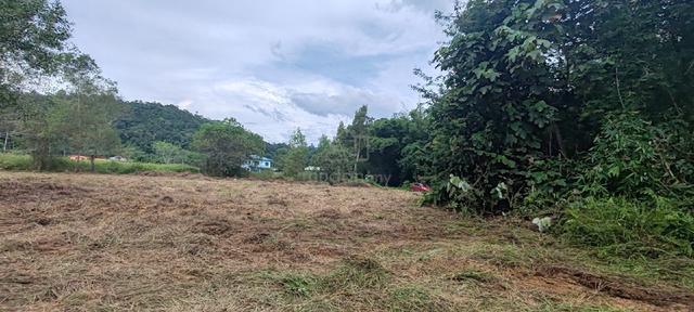 Tanah 2.5 Ekar Di Kg. Tombovo, Penampang Untuk Di jual 1