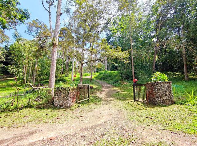 6 EKAR TANAH Sesuai buat Resort‼️ Janda Baik Bentong Pahang 1