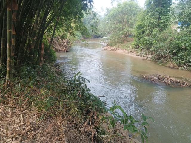 Tanah Tepi Sungai 3.17 Ekar Freehold Non Bumi 1
