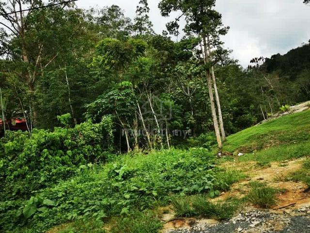 Agricultural Land in Rawang πΏ Bumi π Rawang 1