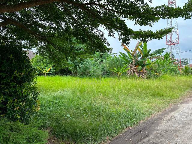 Tanah Lot Banglo Jalan Kebun Lorong Tahir Seksyen 30 1