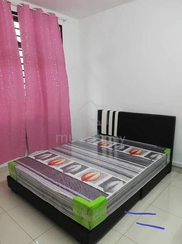 bilik mutiara rini disewa 1