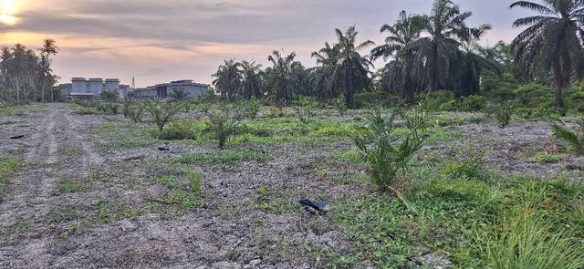 5.3 acres agricultural @ Bagan Datoh 1