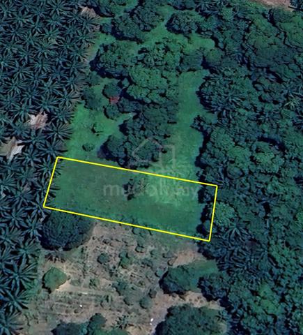 Tanah Pertanian 0.3425 Ekar Untuk Disewa – Changkat Jering, Taiping 1