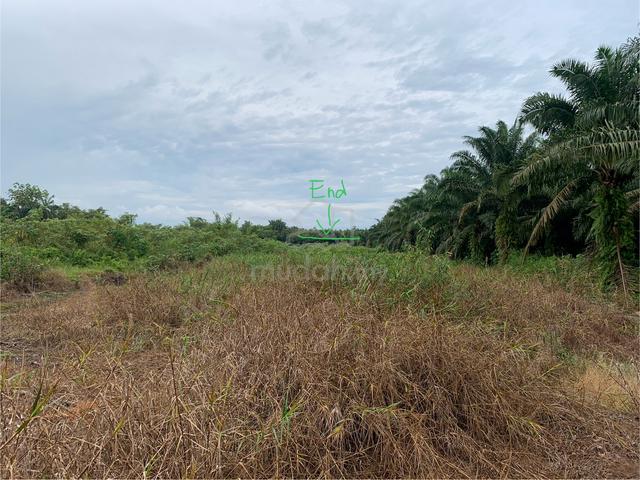 Tanah for sale Batu Pahat Peserai. (Direct owner) serious buyer only 1